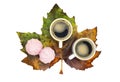 Flat lay of two coffee cups and rose marshmallows on a large green-yellow maple leaf isolated on white. Cosy autumn composition Royalty Free Stock Photo
