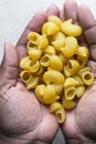 Flat lay of uncooked pipe rigate pasta in a woman's hands, top view of pipe rigate pasta shells