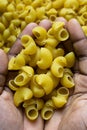 Flat lay of uncooked pipe rigate pasta in a woman\'s hands, top view of pipe rigate pasta shells