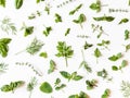 Flat-lay of various fresh green kitchen herbs. Parsley, mint, dill, basil, marjoram, thyme over white background, top view. Spring Royalty Free Stock Photo