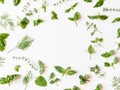 Flat-lay of various fresh green kitchen herbs. Parsley, mint, dill, basil, marjoram, thyme on white background, top view. Spring Royalty Free Stock Photo