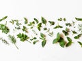 Flat-lay of various fresh green kitchen herbs. Parsley, mint, dill, basil, marjoram, thyme on white background, top view. Spring Royalty Free Stock Photo