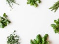 Flat-lay of various fresh green kitchen herbs. Parsley, mint, savory, basil, rosemary, thyme over white background, top view. Royalty Free Stock Photo