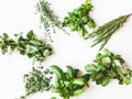 Flat-lay of various fresh green kitchen herbs. Parsley, mint, savory, basil, rosemary, thyme over white background, top view. Royalty Free Stock Photo