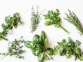 Flat-lay of various fresh green kitchen herbs. Parsley, mint, savory, basil, rosemary, thyme over white background, top view. Royalty Free Stock Photo