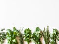 Flat-lay of various fresh green kitchen herbs. Parsley, mint, savory, basil, rosemary, thyme on white background, top view. Spring Royalty Free Stock Photo