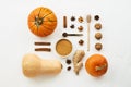 Flat lay with various pumpkins, cinnamon stick and cane sugar knolled together Royalty Free Stock Photo