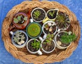 Flat lay view of cups, jug and tea pot containing house plants and succulent plants on wicker tray in garden Royalty Free Stock Photo