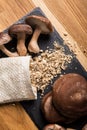 Flat lay view of dry powder made of shiitake mushrooms, Lentinula edodes. Royalty Free Stock Photo