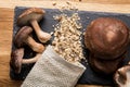 Flat lay view of dry powder made of shiitake mushrooms, Lentinula edodes. Royalty Free Stock Photo