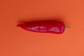 Flat lay view of hot red chili peppers. Food background. Copy space. Bright red orange background. Design banner. Royalty Free Stock Photo