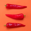 Flat lay view of hot red chili peppers. Food background. Copy space. Bright red orange background. Design banner. Royalty Free Stock Photo