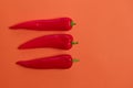 Flat lay view of hot red chili peppers. Food background. Copy space. Bright red orange background. Design banner. Royalty Free Stock Photo