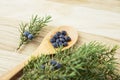 Flat lay view Juniper latin Juniperus communis berries on wooden spoon juniper tree branch.