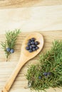 Flat lay view Juniper latin Juniperus communis berries on wooden spoon juniper tree branch.