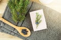 Flat lay view Juniper latin Juniperus communis berry soap bar juniper tree branch with confier cones.