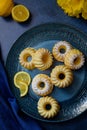 Flat lay view of mini vanilla bundt cakes