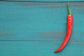 Flat lay view of one hot red chili pepper.