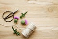 Flat lay view of Onopordum acanthium, cotton thistle, Scotch or Scottish thistle flower blossoms on oak wood background indoors. Royalty Free Stock Photo