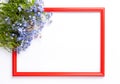 Flat lay view of red wooden frame with small violet flowers and green leaves on white background Royalty Free Stock Photo