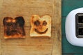 Flat lay view of two slices of toasted bread Royalty Free Stock Photo