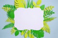 Flat lay of vintage card frame, color paper green leaves design on blue background. Top view, copy space, floral art