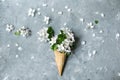 Flat lay of waffle sweet ice cream cone with white Apple blossoms on a textured gray background. Top view. Spring or