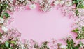 Flat lay of white flowers forming a frame on a pink background Royalty Free Stock Photo
