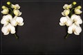 Flat lay White orchid phalaenopsis on black paper background