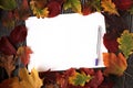 Flat lay white sheet of paper with a pen and autumn leaves