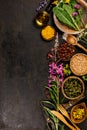 Flat lay of wild healing herbs Royalty Free Stock Photo
