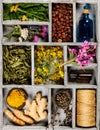 Flat lay of wild healing herbs