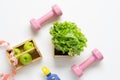 Flat lay workout and fitness dieting healthy lifestyle with healthy food green apples and green lettuce, pink dumbbels, bottle of