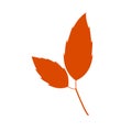 Flat leaf icon silhouette. Filled leaf glyph.