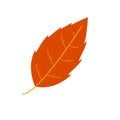 Flat leaf icon silhouette. Filled leaf glyph.