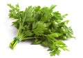 Flat Leaf Parsley Royalty Free Stock Photo