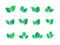 Flat leaves set. Vegan green food logos, farm plant eco energy, simple forest leaf herbal tea label. Vector set of green