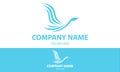 Light Blue Color Abstract Animal Swan Logo Design