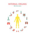 Flat line icons set of internal organs. Medical human organs icon set with body in the middle. Royalty Free Stock Photo