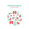 Flat line icons set of internal organs.