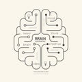 Flat linear Infographic Education Outline Brain Concept.Vector Royalty Free Stock Photo