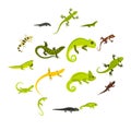 Lizard icons set, flat style Royalty Free Stock Photo