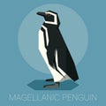 Flat Magellanic Penguin Royalty Free Stock Photo