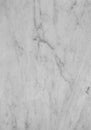 Flat Marble Texture