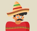 Flat mexican hat vector avatar