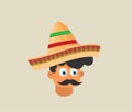 Flat mexican hat vector icon