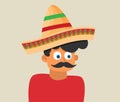 Flat mexican hat vector icon