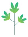 Flat minimal leaf of bush, shrub, tree, wild plant icon. Cartoon park or garden, spring landscape element. Environmental