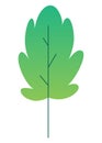 Flat minimal leaf of bush, shrub, tree, wild plant icon. Cartoon park or garden, spring landscape element. Environmental