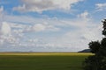 Flat Morecambe Bay landscape. Charity walk Royalty Free Stock Photo